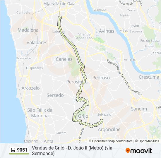 Mapa da linha do autocarro 9051.