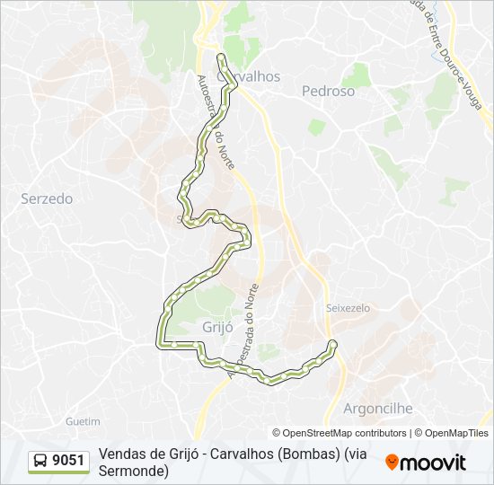 Mapa da linha do autocarro 9051.