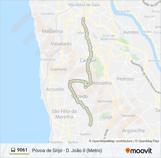 Mapa da linha do autocarro 9061.