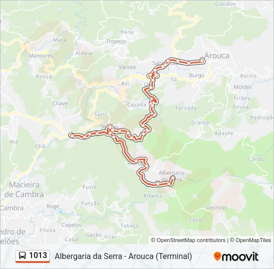 1013 Bus Line Map