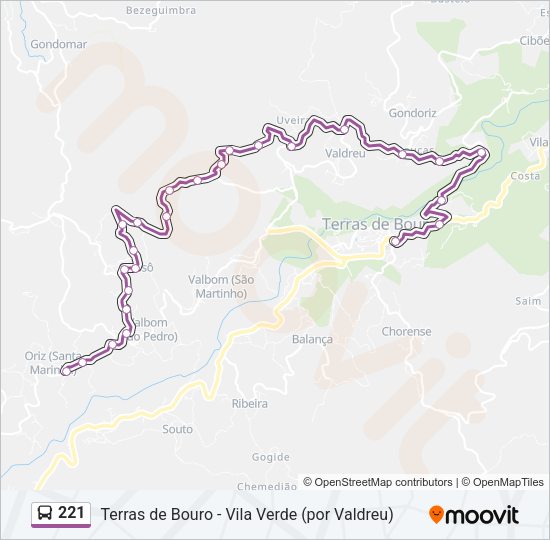 Mapa da linha do autocarro 221.