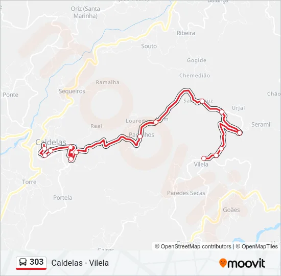 303 Bus Line Map