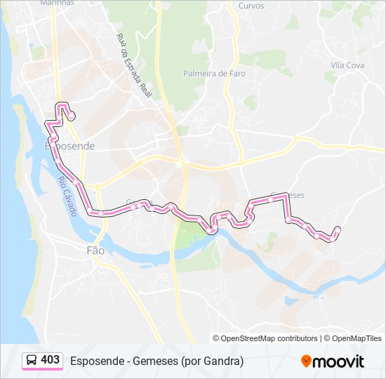 Mapa da linha do autocarro 403.