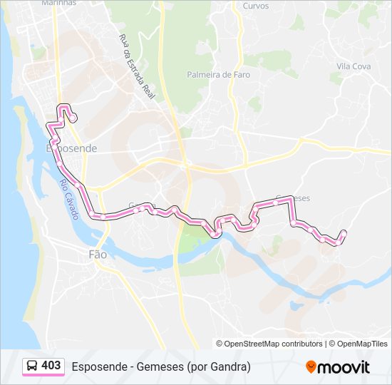 Mapa da linha do autocarro 403.