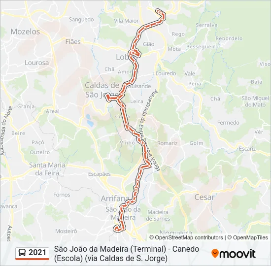 2021 Bus Line Map