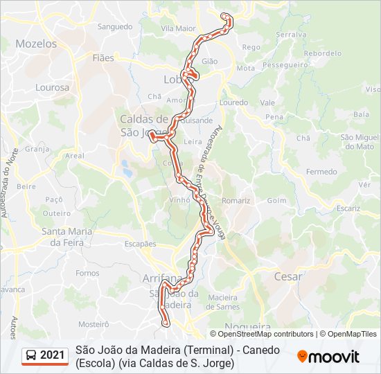 2021 bus Line Map