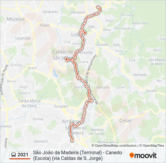2021 Bus Line Map