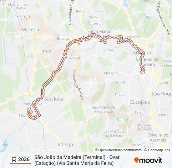 2036 Bus Line Map