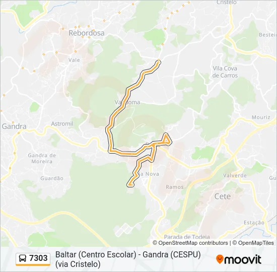 7303 Bus Line Map