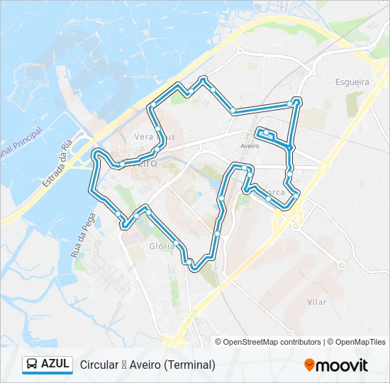 AZUL Bus Line Map