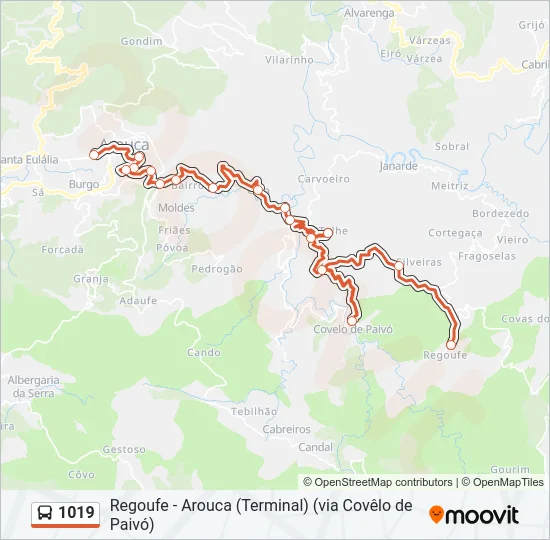 1019 Bus Line Map