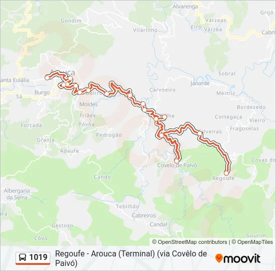 1019 Bus Line Map