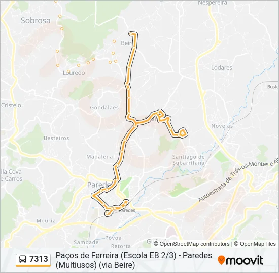 7313 Bus Line Map