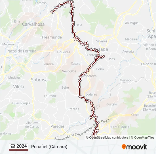 2024 Bus Line Map