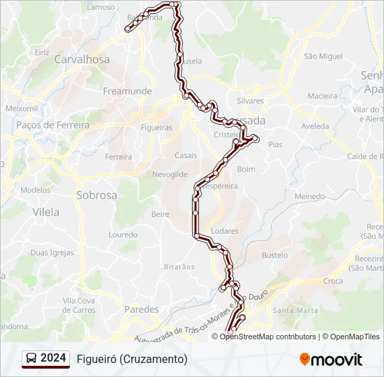 2024 Bus Line Map