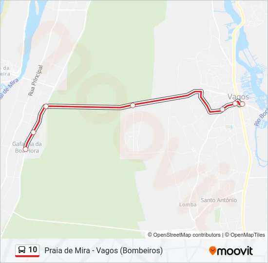 10 Bus Line Map