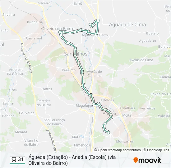 31 Bus Line Map