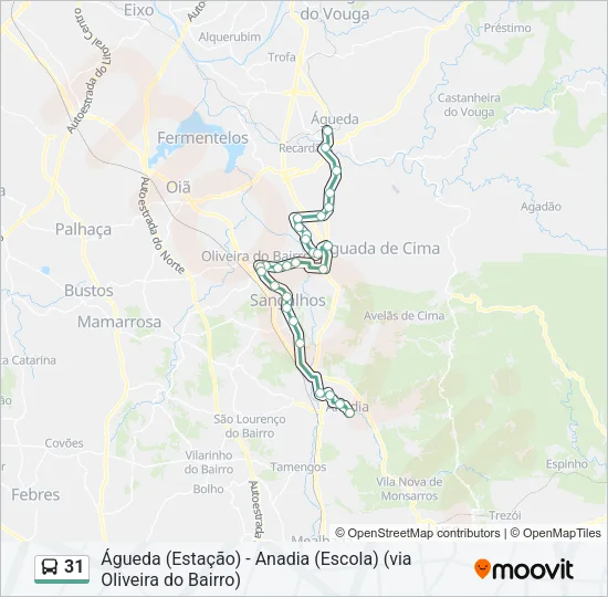 31 Bus Line Map