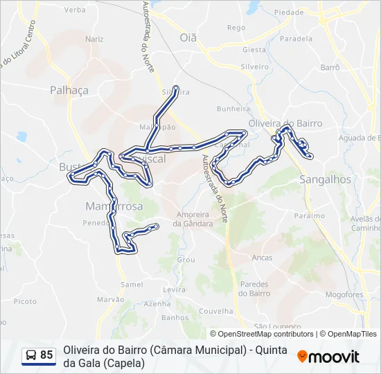 85 Bus Line Map