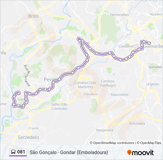 081 Bus Line Map