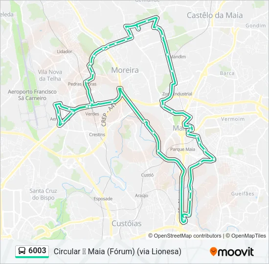 6003 Bus Line Map