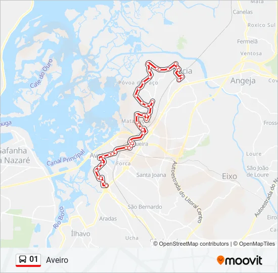 01 Bus Line Map