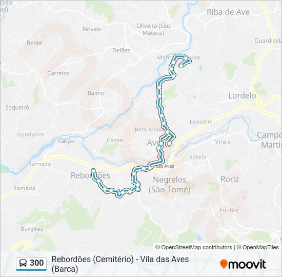 300 Bus Line Map
