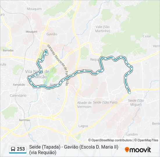 253 Bus Line Map