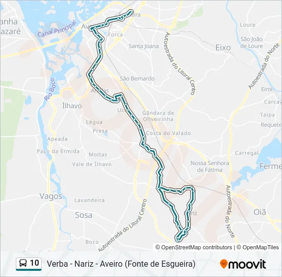 10 Bus Line Map