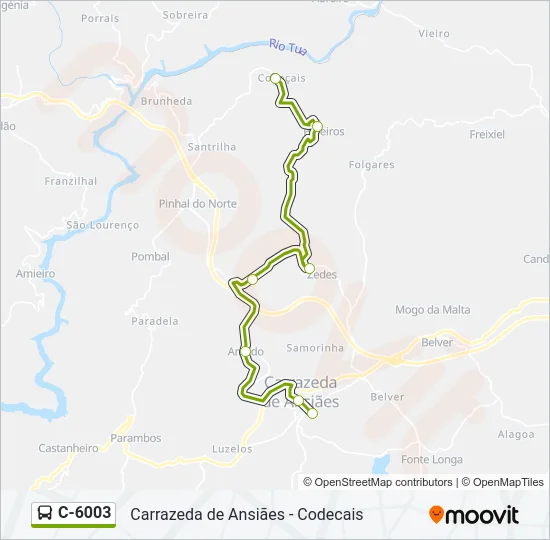 C-6003 Bus Line Map
