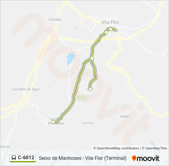 C-6012 Bus Line Map