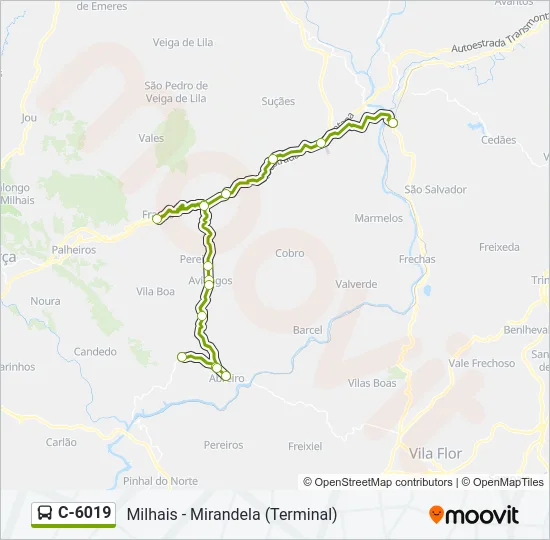 C-6019 Bus Line Map