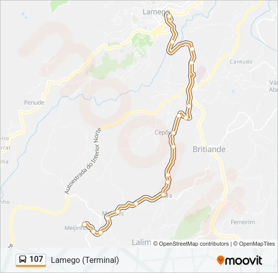107 Bus Line Map