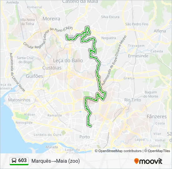603 Route: Schedules, Stops & Maps - Marquês‎→Maia (zoo) (Updated)