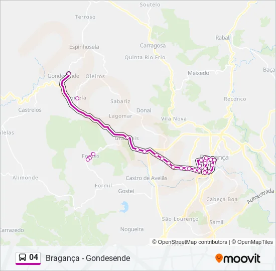 04 Bus Line Map