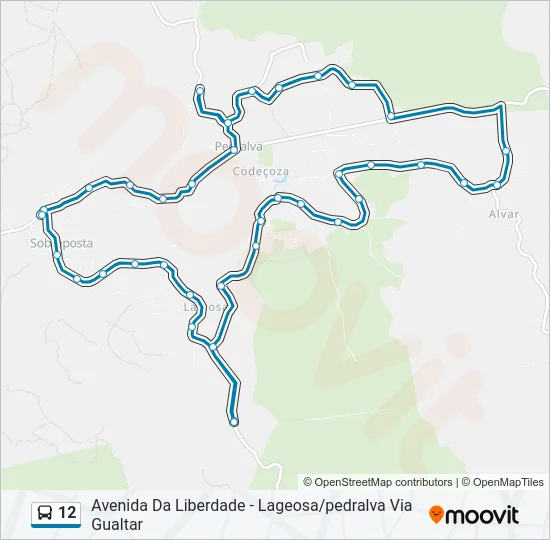 12 Bus Line Map