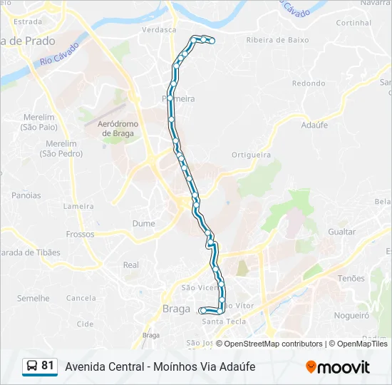 81 Bus Line Map