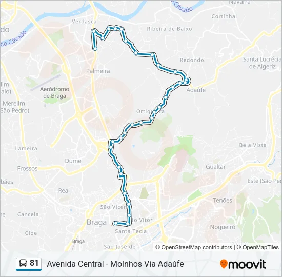 81 Bus Line Map