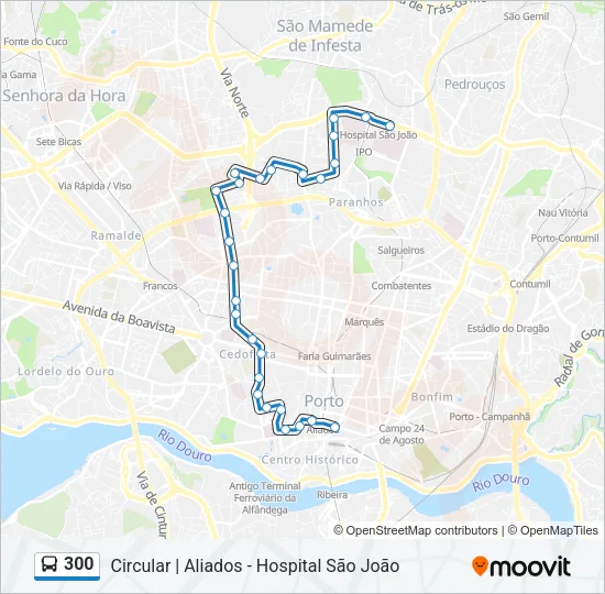 300 Bus Line Map