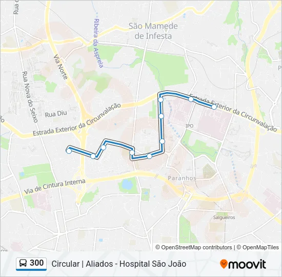 300 Bus Line Map