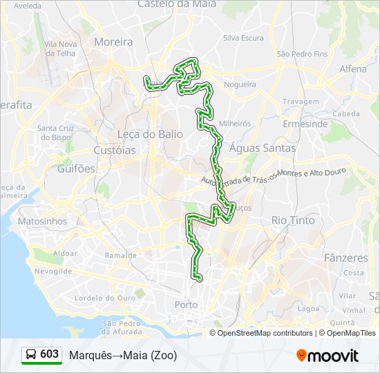 Mapa da linha do autocarro 603.