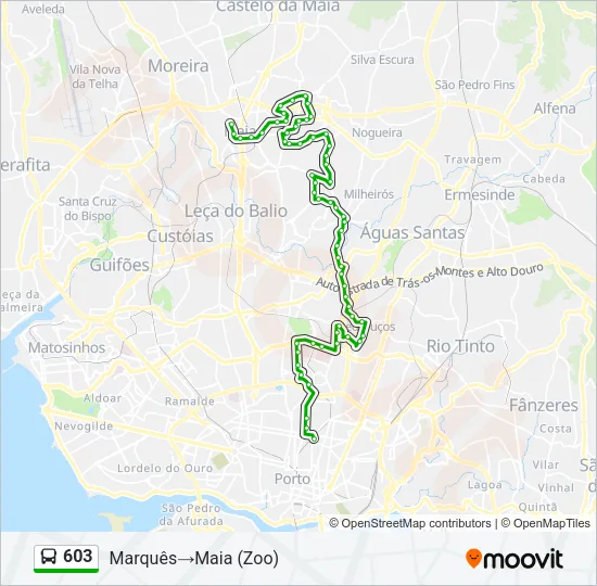603 Bus Line Map