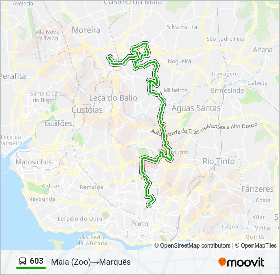 603 Bus Line Map