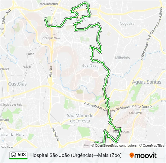 603 Bus Line Map
