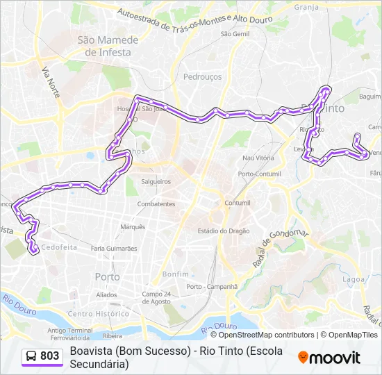 803 Bus Line Map