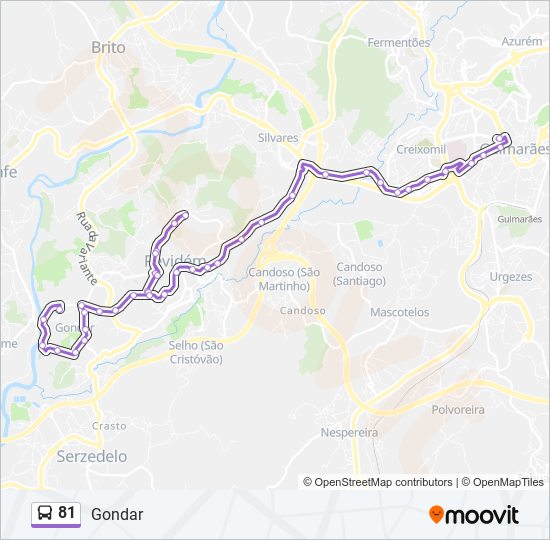 81 bus Line Map