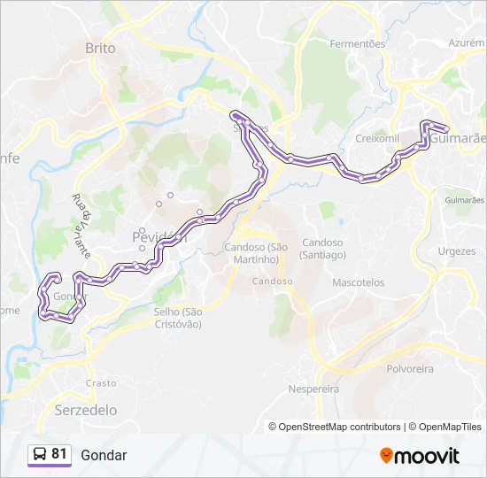 81 Bus Line Map