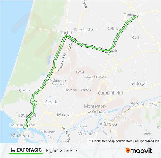 EXPOFACIC Bus Line Map