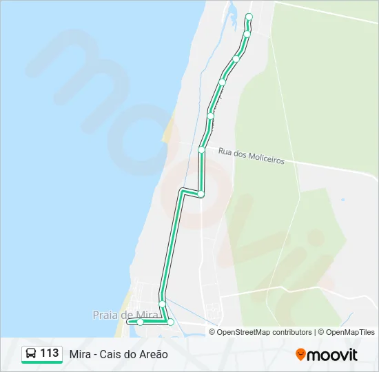 113 Bus Line Map