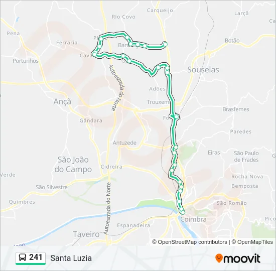 241 Bus Line Map